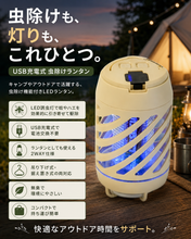 画像をギャラリービューアに読み込む, モスキートランタン