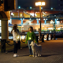 画像をギャラリービューアに読み込む, ランタンライト
